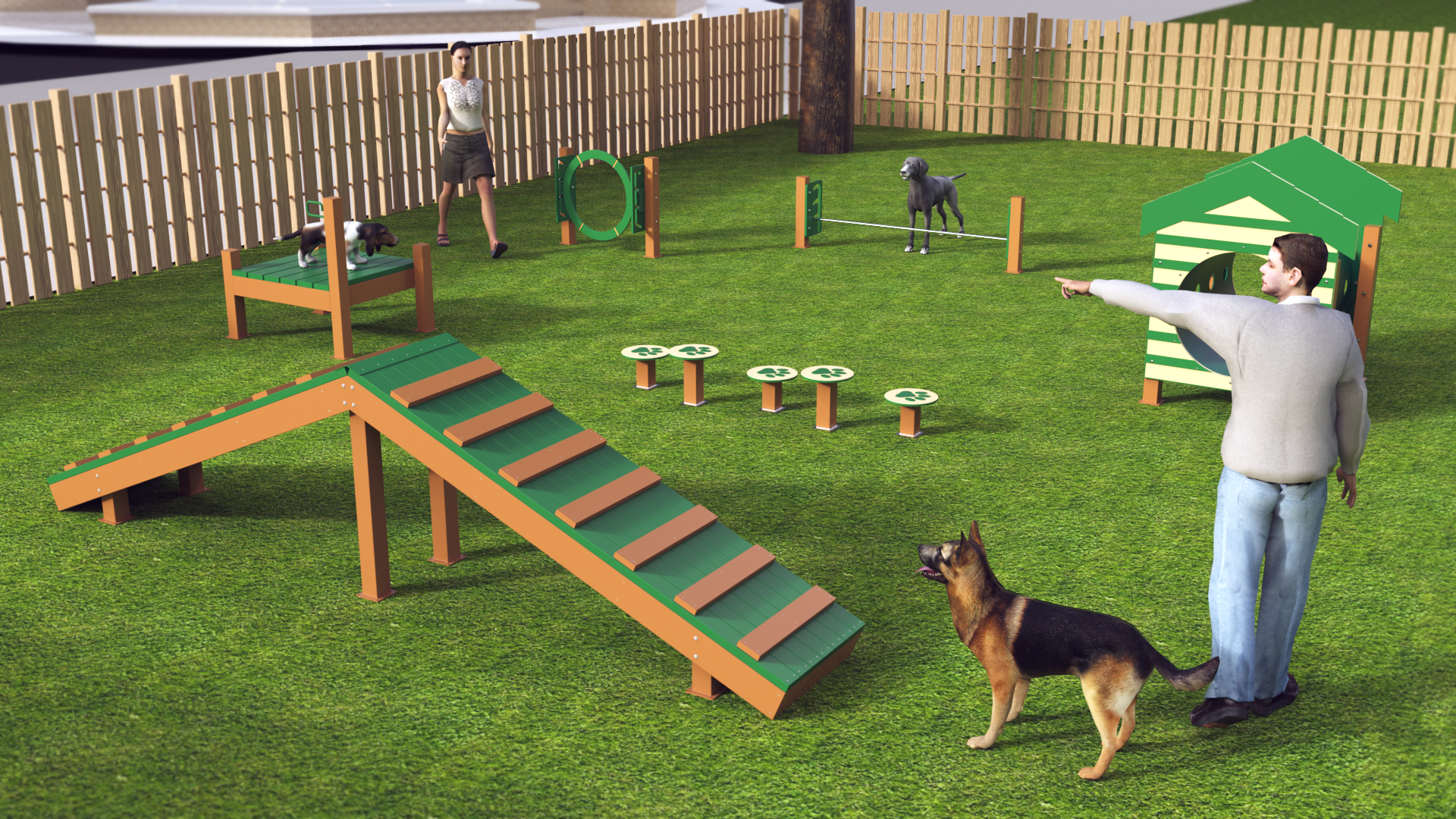 How Do I Set Up A Dog Agility Course
